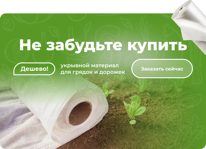 offer-banner